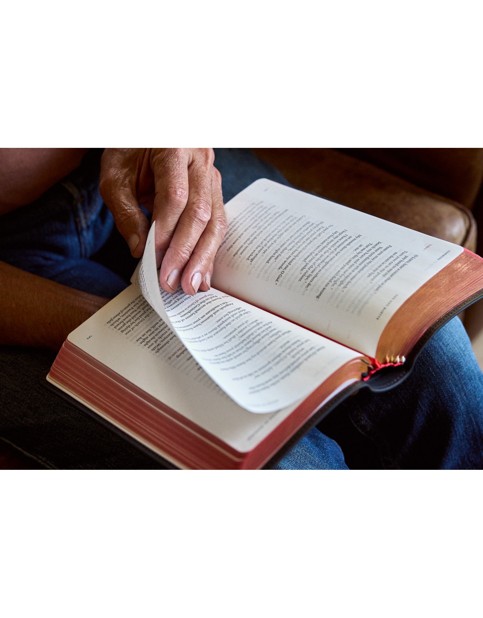 Word on Fire The Liturgy of the Hours, Second Edition - Volume IV (WOF)