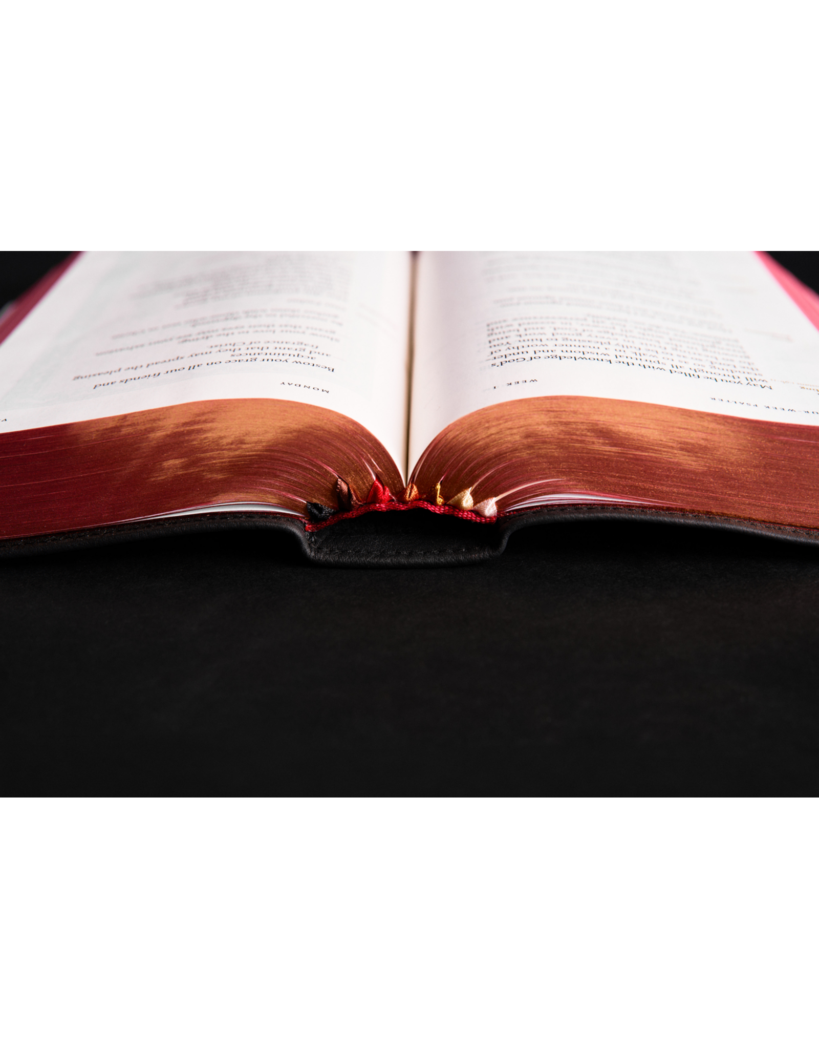 Word on Fire The Liturgy of the Hours, Second Edition Large Print - Volume I (WOF)