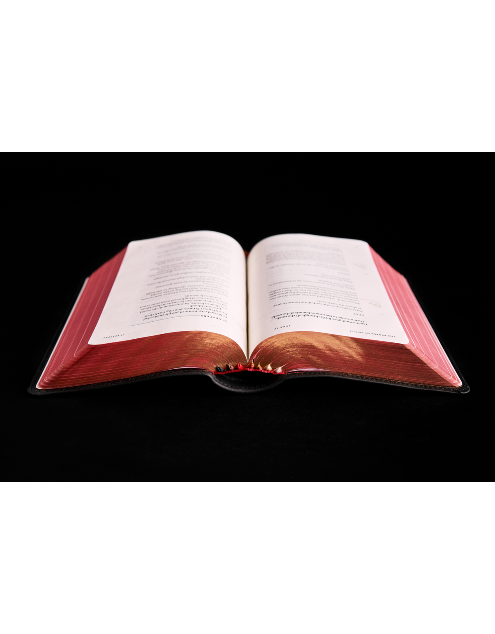 Word on Fire The Liturgy of the Hours, Second Edition Large Print - Volume IV (WOF)
