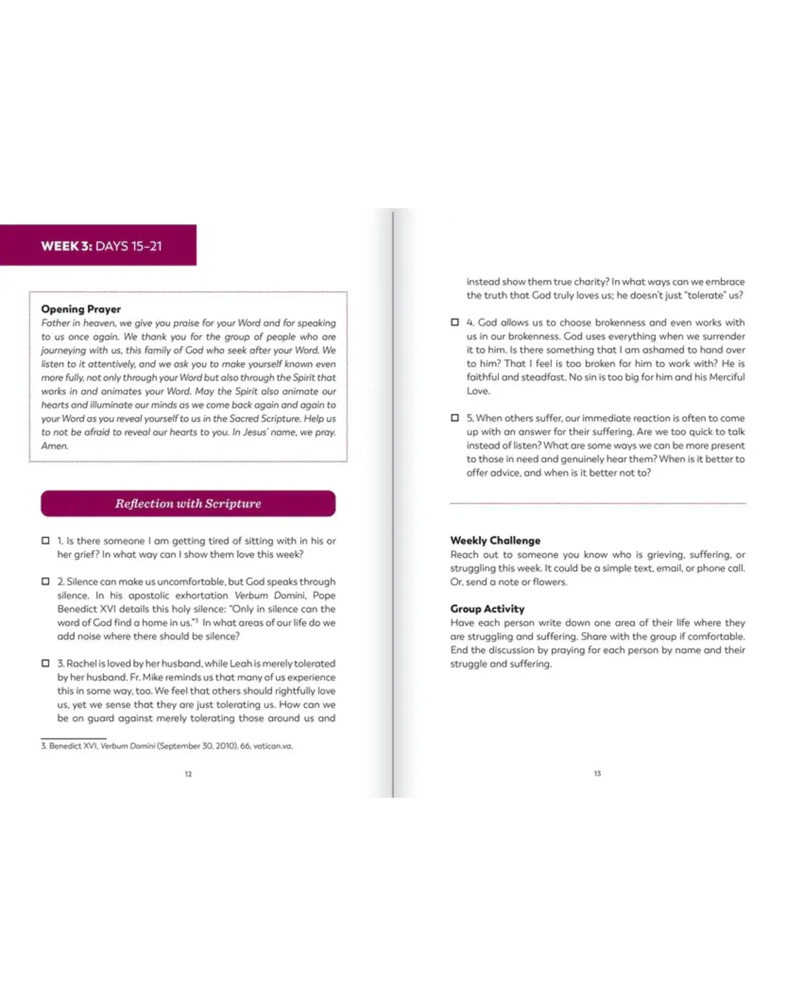 Ascension Press Bible in a Year Study Guide
