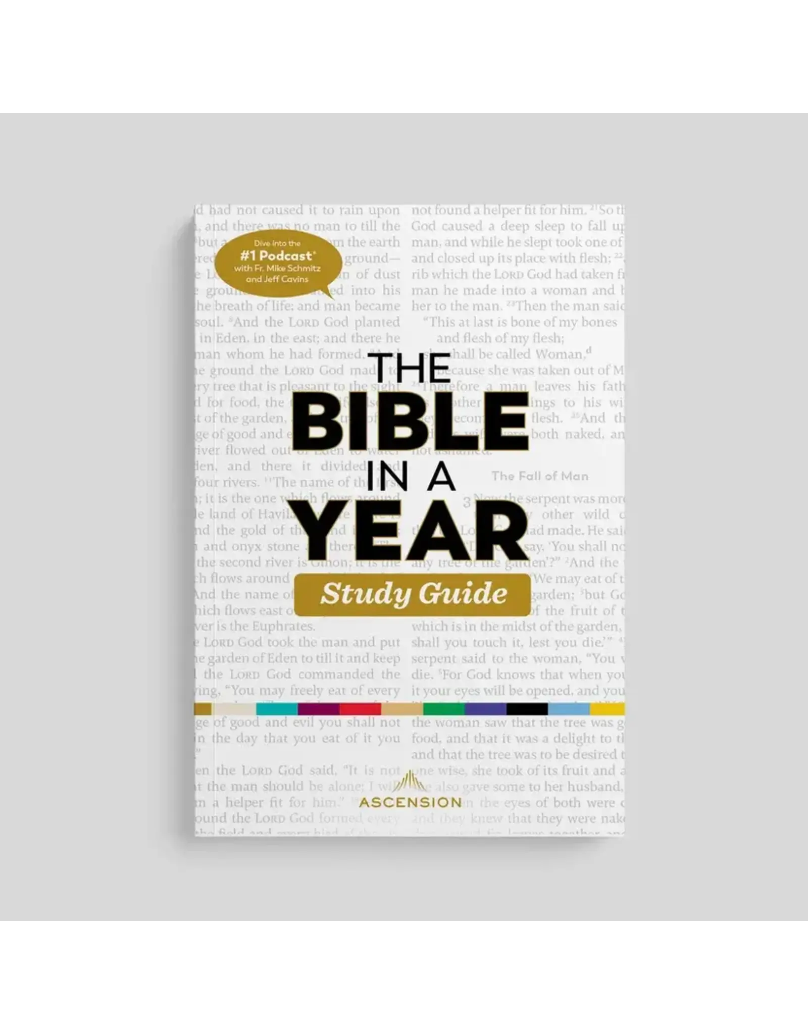 Ascension Press Bible in a Year Study Guide