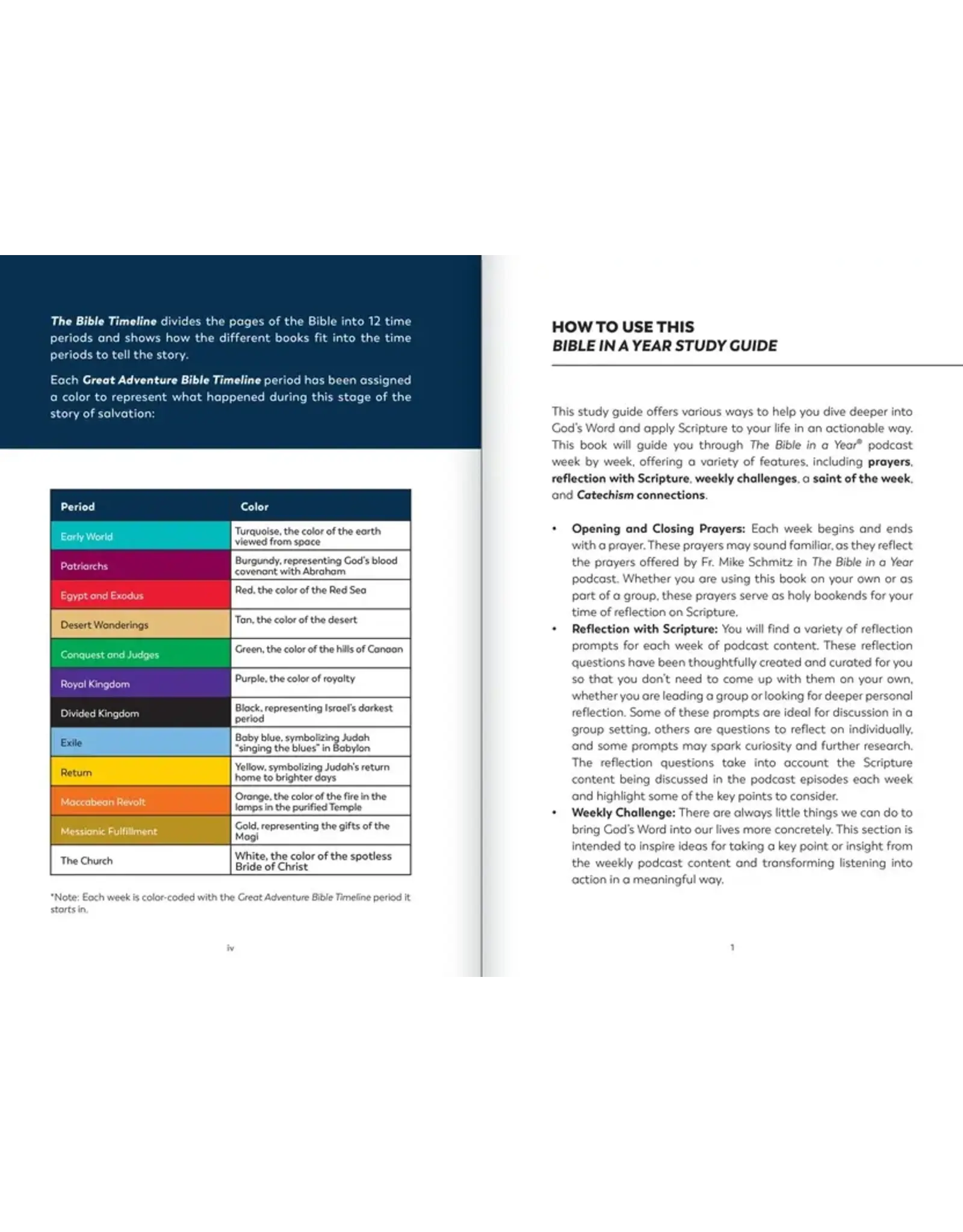 Ascension Press Bible in a Year Study Guide