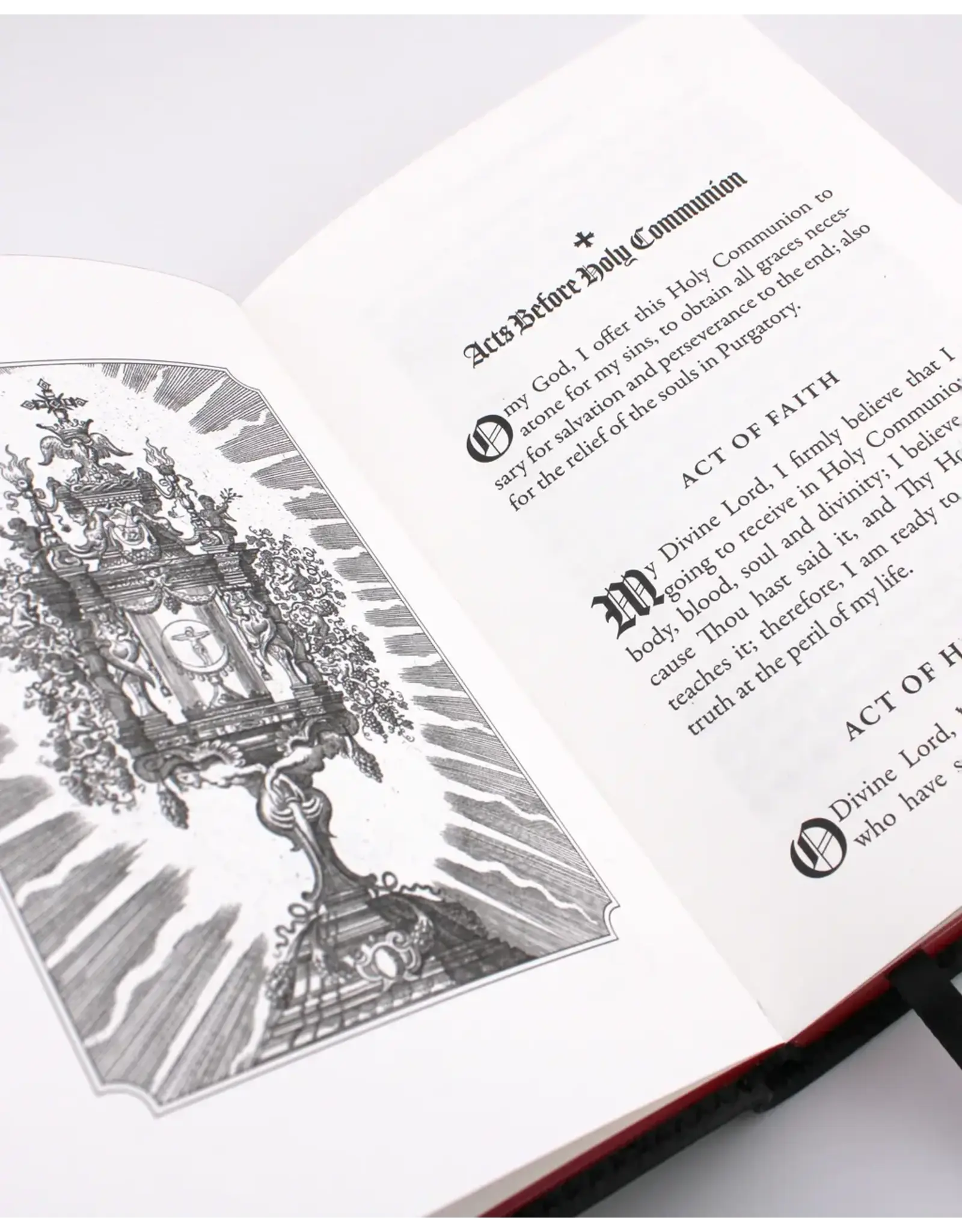 Tan Books (St. Benedict Press) Purgatorian Manual