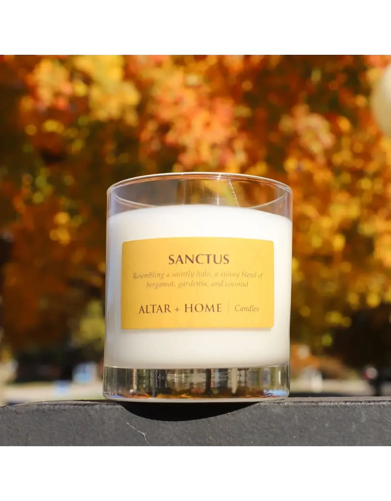 Altar + Home Sanctus Candle, 5.5oz