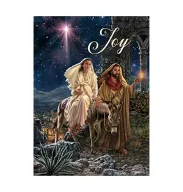 Legacy Publishing Boxed Christmas Cards - Ride To Bethlehem