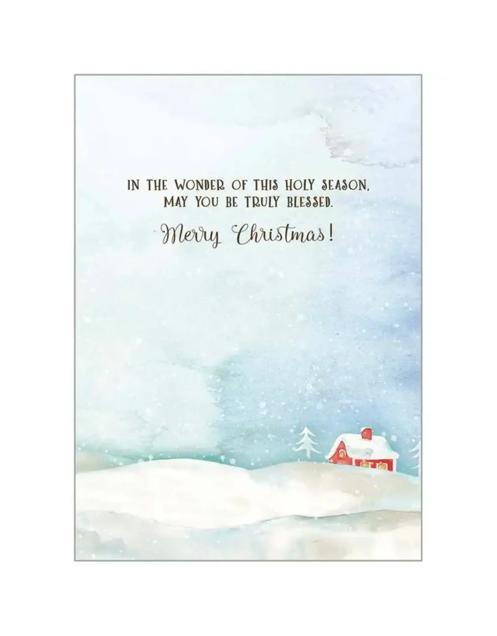 Legacy Publishing Boxed Christmas Cards - Birds On Snowy Branch