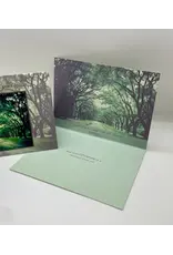 Gracefully Yours Boxed Sympathy Cards - Come Unto Me