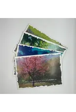 Gracefully Yours Boxed Sympathy Cards - Blessed Mourning