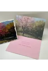 Gracefully Yours Boxed Sympathy Cards - Blessed Mourning