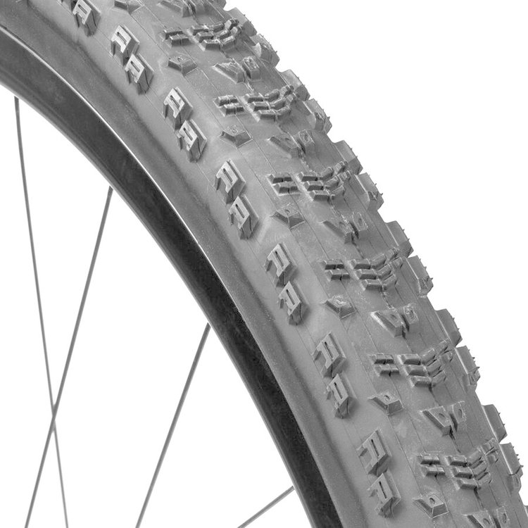 Maxxis Aspen