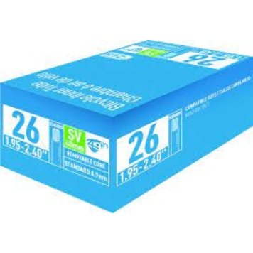 49N 20 x 1.95-2.40 Schrader Tube
