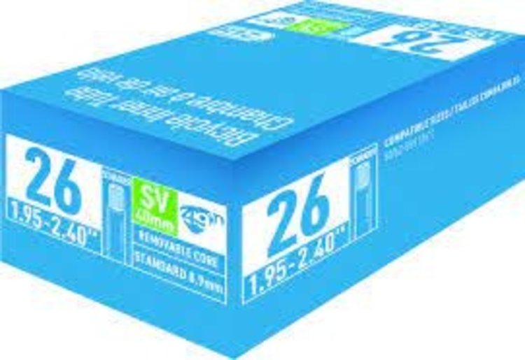 49N 20 x 1.95-2.40 Schrader Tube