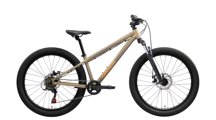 Norco Storm 24 Bronze