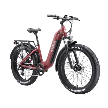 Maui Fat E-Bike