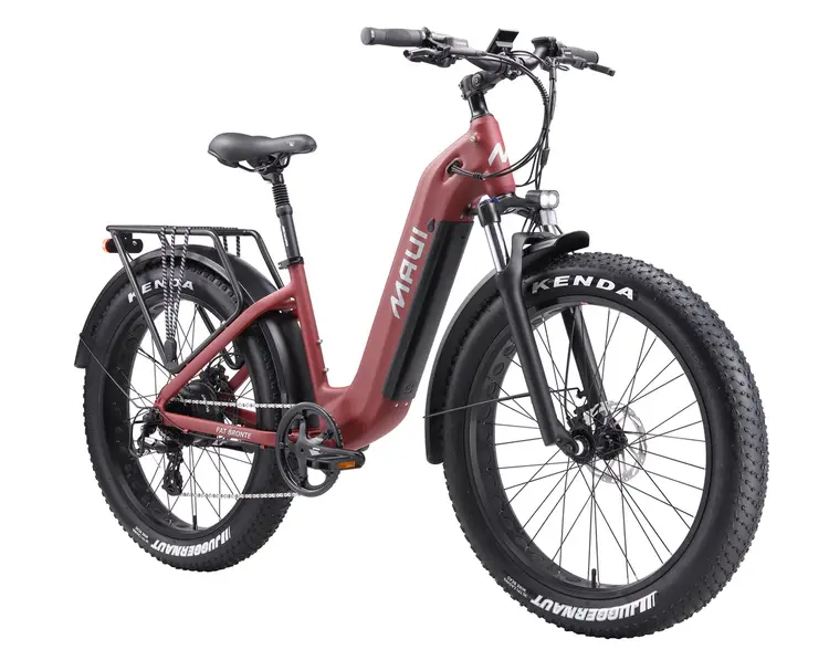 Maui Fat E-Bike