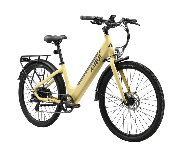 Maui Molly E-Bike