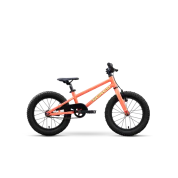 Norco Storm 16 Coaster