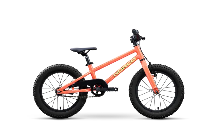 Norco Storm 16 Coaster