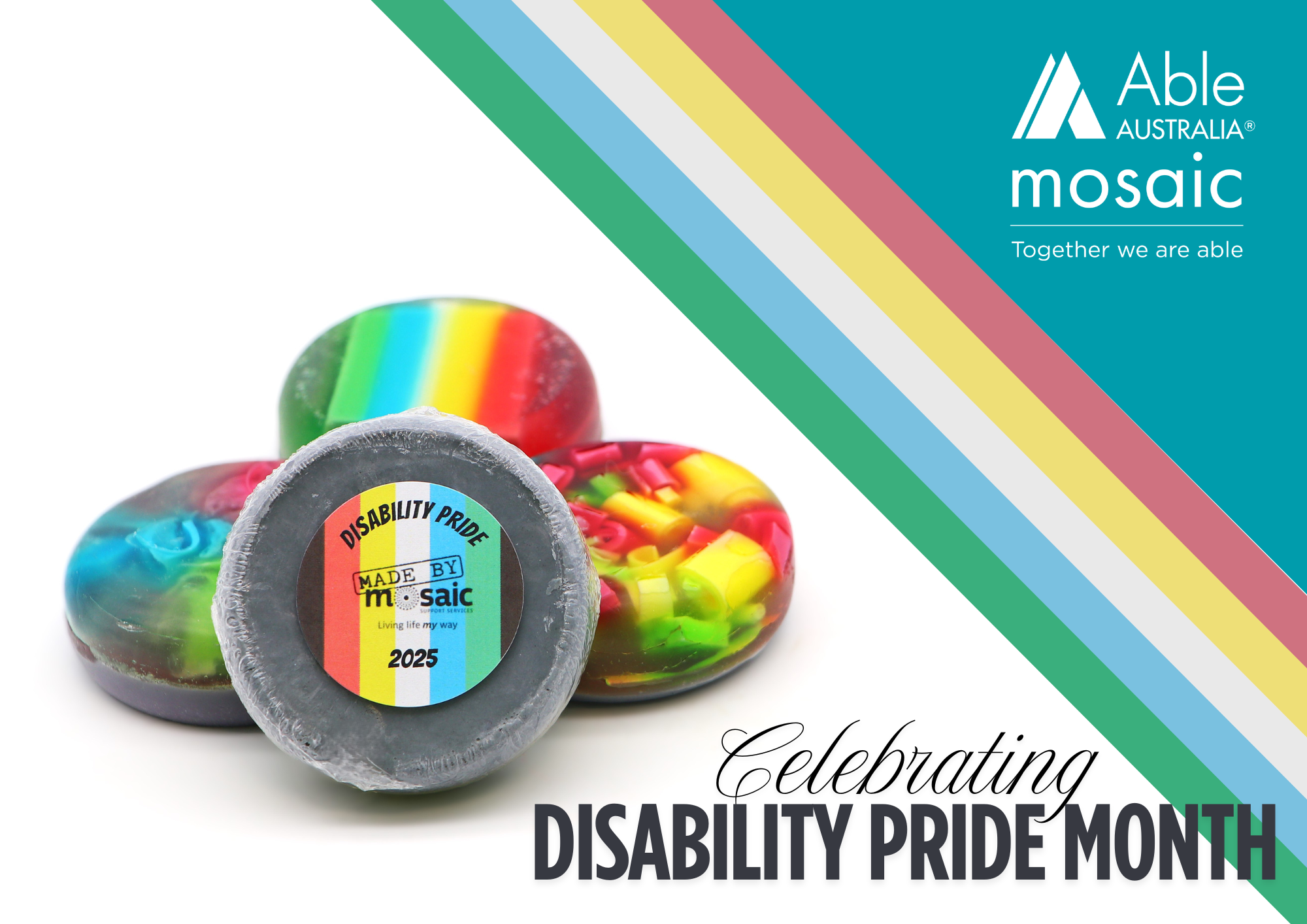 July-Disability Pride Month