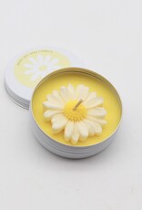 Daisy Gift Box
