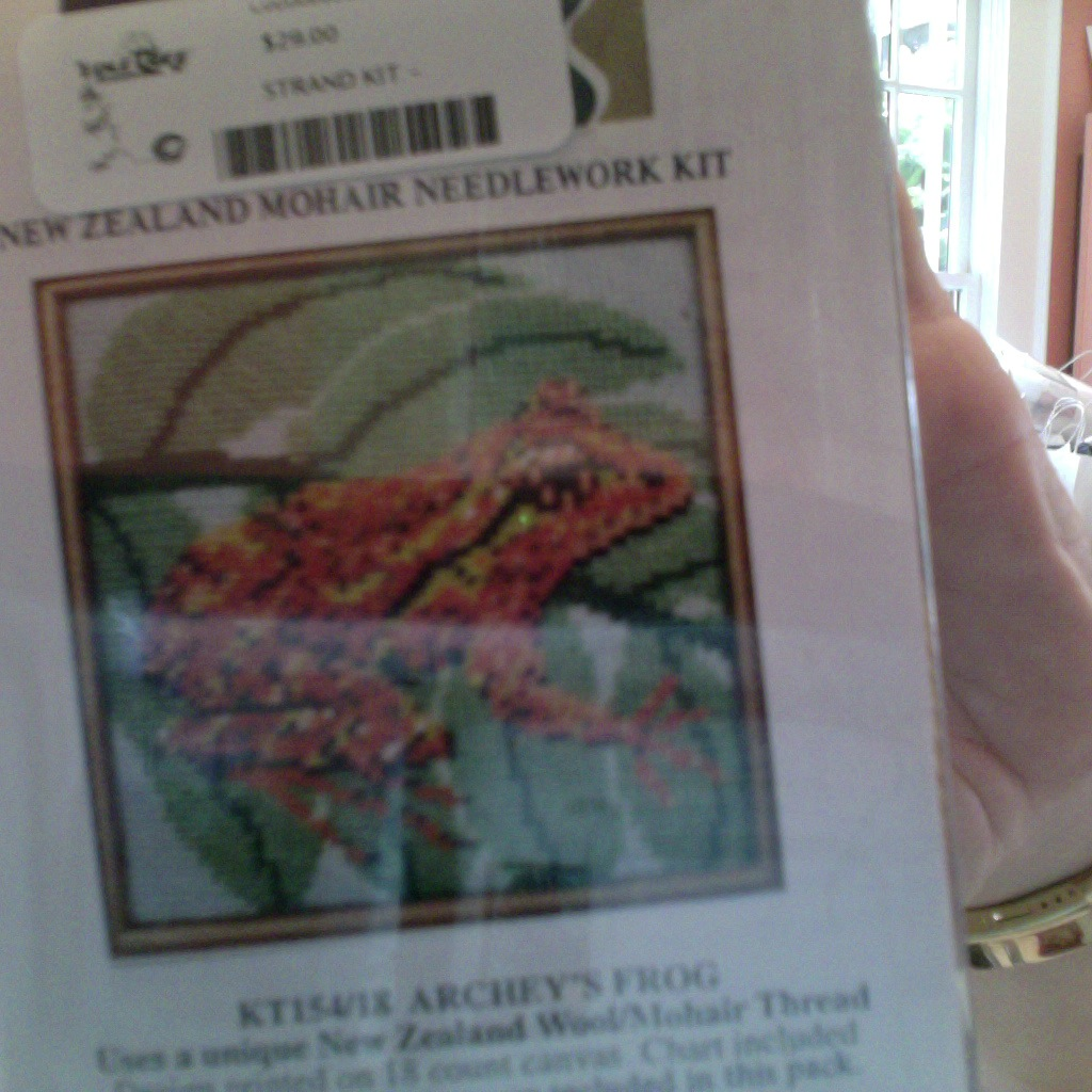 Canvas STRAND KIT -  ARCHEY'S FROG