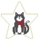 Canvas BLACK CAT STAR  ST100