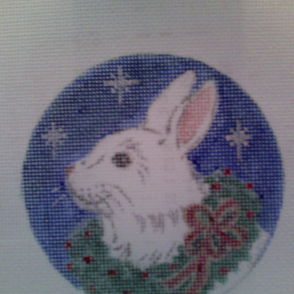 Canvas RABBIT ON BLUE  C046