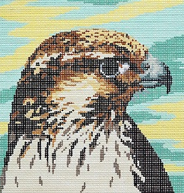 Canvas SALE  -  PEREGRINE FALCON  BR308   REG $62