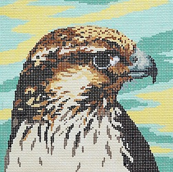 Canvas SALE  -  PEREGRINE FALCON  BR308   REG $62