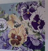 Canvas PANSIES  3235