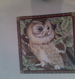 Canvas OWL 149NN  SALE  REG $68