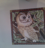 Canvas OWL 149NN