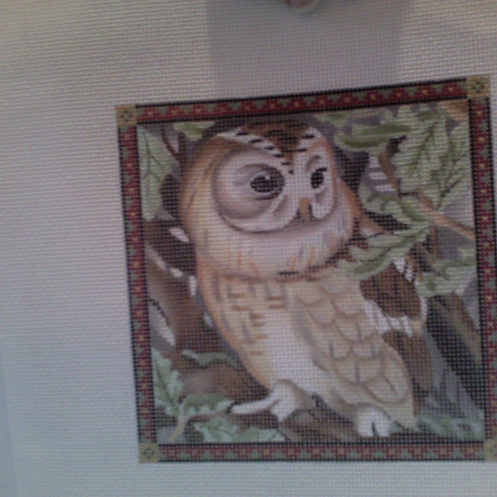 Canvas OWL 149NN  SALE  REG $68