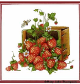 Canvas STRAWBERRIES  MLT84