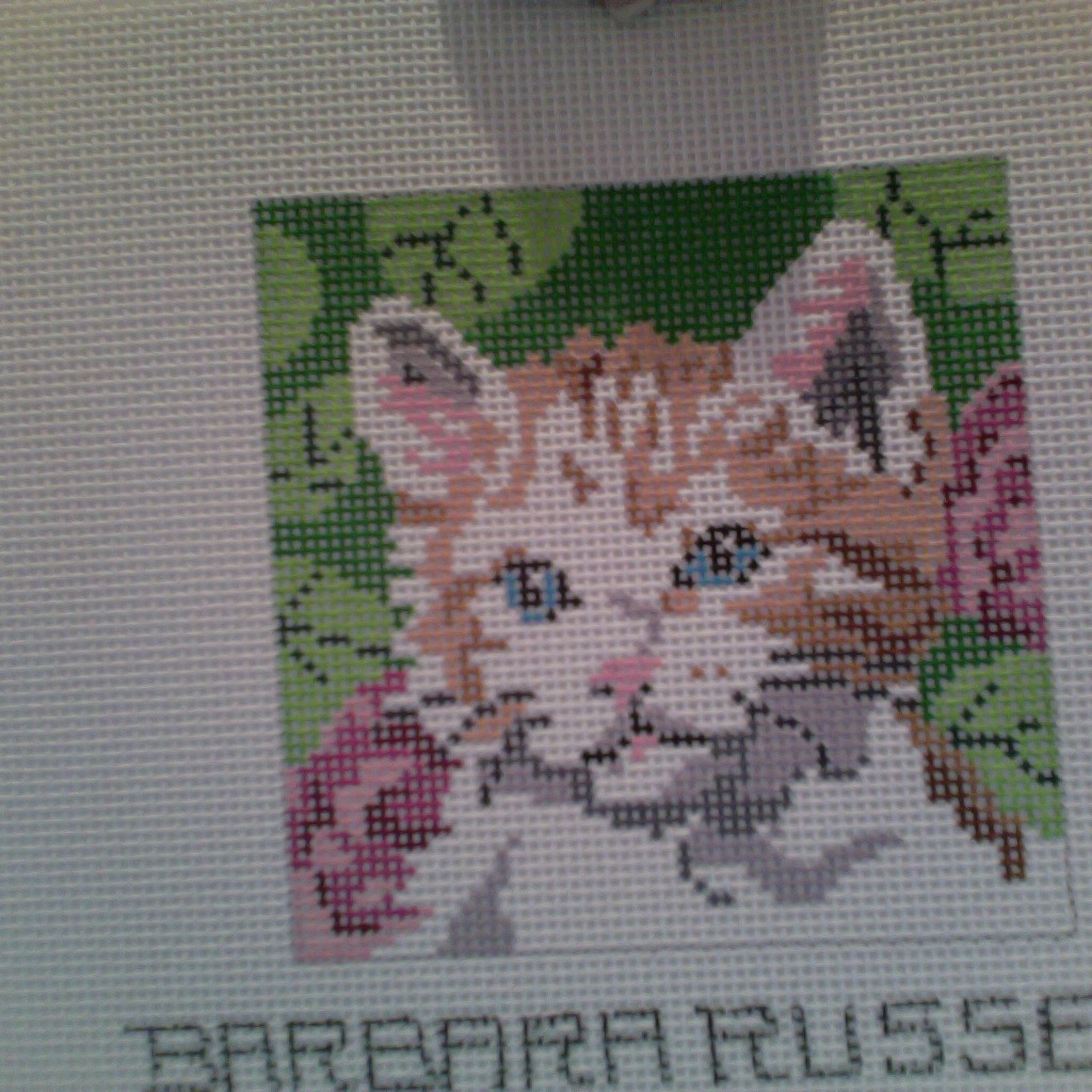 Canvas KITTEN  BR133