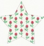 Canvas STAR FOR MARY  WG11435