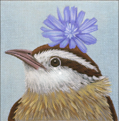 Canvas CAROLINA WREN  VS201C