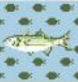 Canvas MINI FLASK - BASS FISH SELF FINISHING