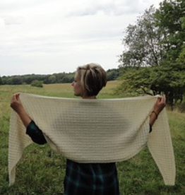 Yarn PASTURE WRAP KIT