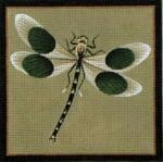 Canvas Black Dot Dragonfly  0904b Melissa Shirley