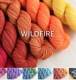 Yarn PARTY OF FIVE GRADIENT SET - TOUGH LOVE SOCK  SALE  REG $38.25