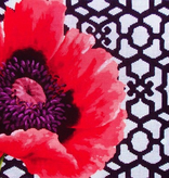 Canvas POPPY AND TRELLIS  KB383