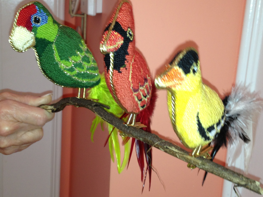 Canvas 3-D CLIP-ON BIRDS