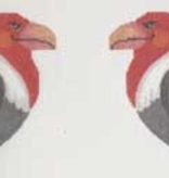 Canvas VULTURE CLIP-ON BIRD  506