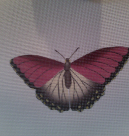 Canvas BUTTERFLY RED  1414D