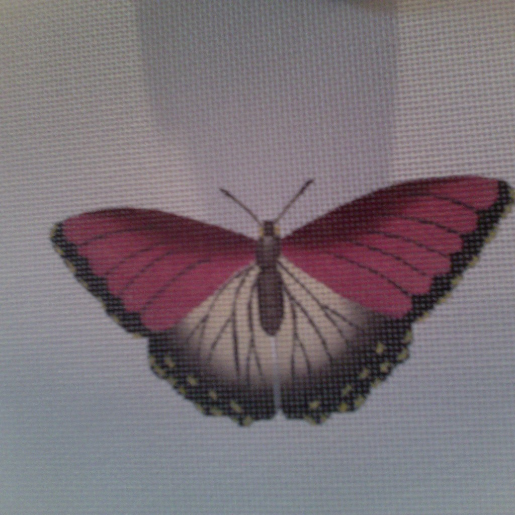 Canvas BUTTERFLY RED  1414D