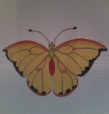 Canvas BUTTERFLY YELLOW  1414F