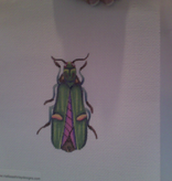 Canvas BEETLE  GREEN/PURPLE  1407F