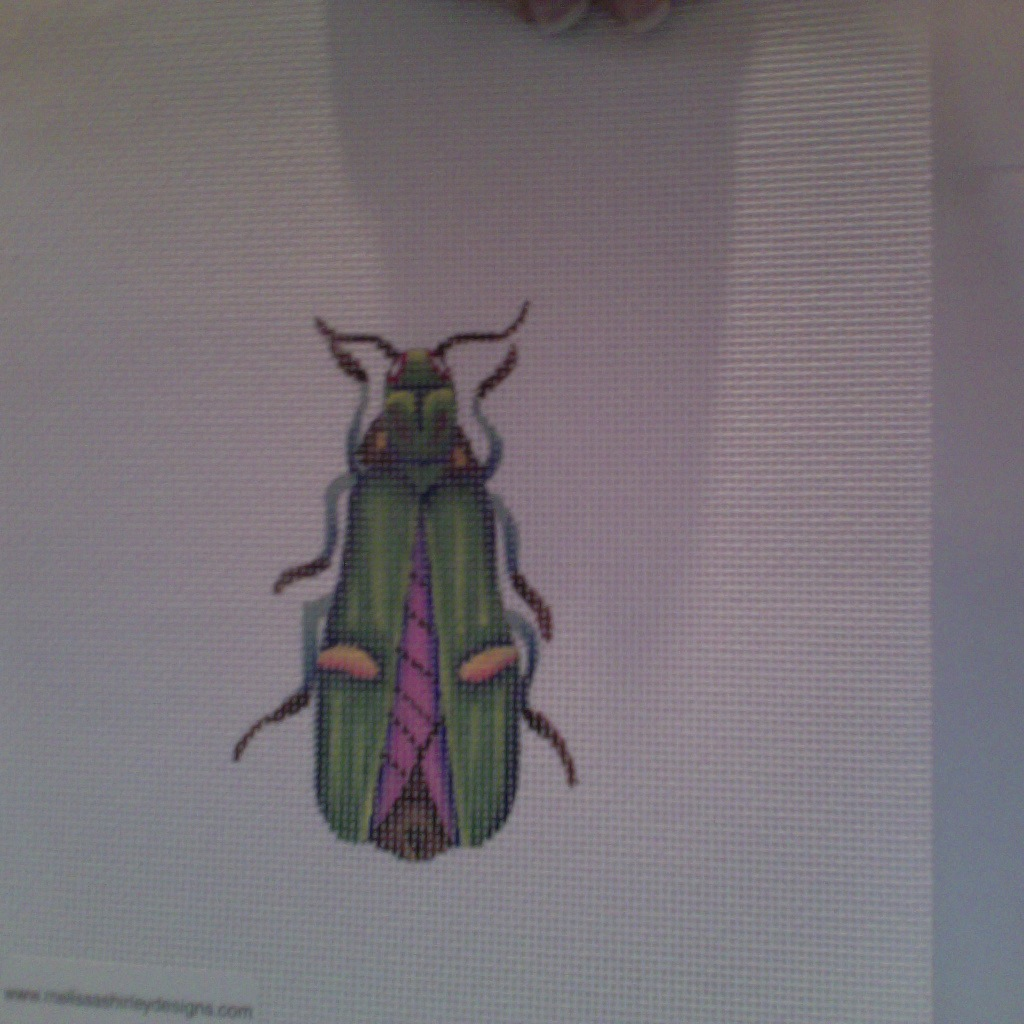 Canvas BEETLE  GREEN/PURPLE  1407F