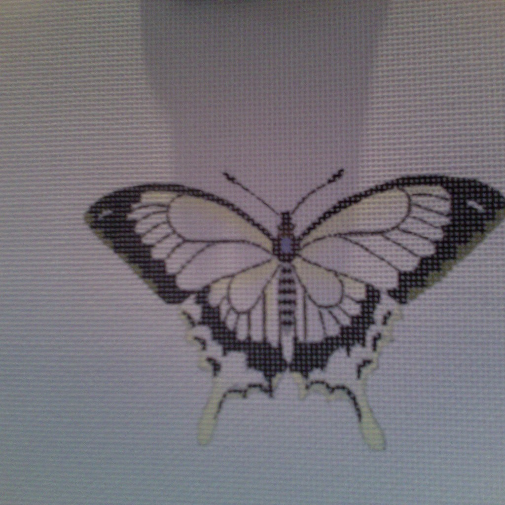 Canvas BUTTERFLY BLACK/WHITE  1414A